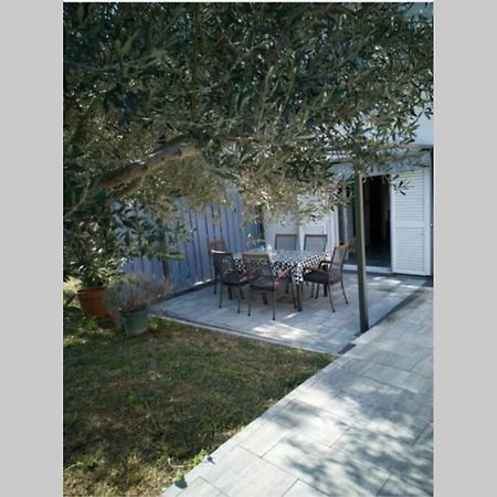 Ferienwohnung Kati 1 Sveti Filip i Jakov Exterior foto