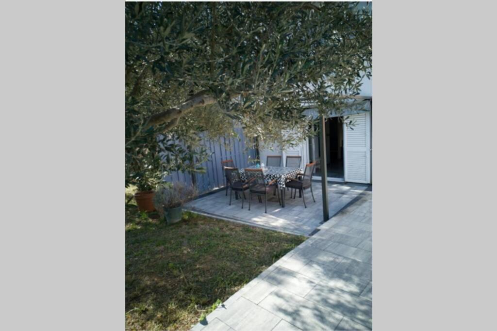 Ferienwohnung Kati 1 Sveti Filip i Jakov Exterior foto